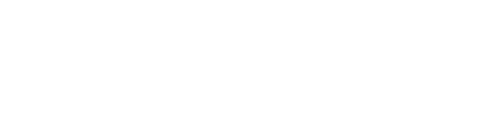 The Inteleos Foundation Logo in White